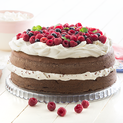 19-11-2015-Bizcochuelo Red Velvet Principal (500x500)